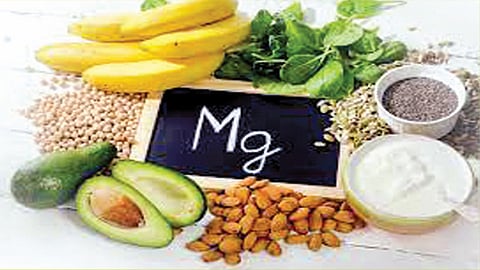 रोगप्रतिकारक शक्तीसाठी आवश्यक असते मॅग्नेशियम