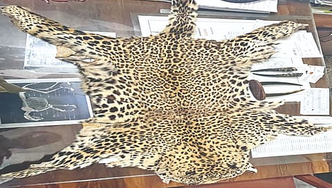 नाशिकमध्ये वन्यजीवांच्या अवयवांची पुन्हा तस्करी; तिघे संशयित जेरबंद