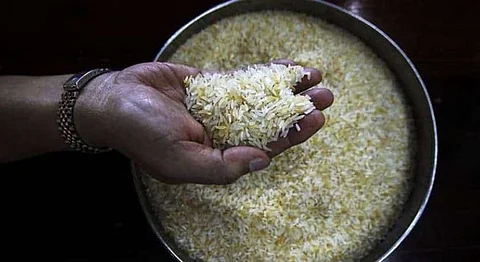 Rice Price High