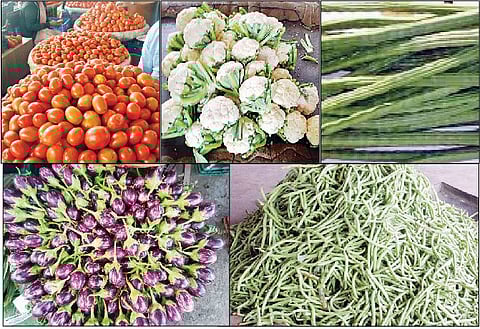 पुणे : टोमॅटो, फ्लॉवर, शेवगा महाग; घेवडा, वांगी स्वस्त, मार्केट यार्डात 90 ट्रक शेतमाल दाखल