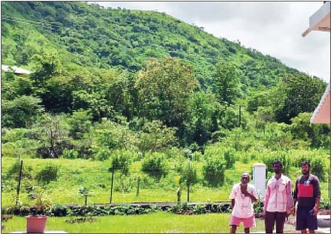 पानशेतजवळील रुळे येथील जंगलात बिबट्यांचा वावर आहे.