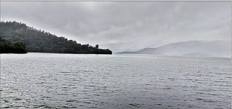 पानशेत खोर्यात 50 टक्केच पाऊस