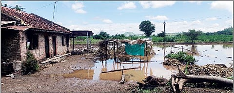 आंबेगावच्या उत्तर भागात शेतीचे मोठे नुकसान; पंचनामे करण्याची शेतकर्यांची मागणी