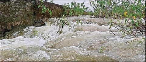 पाथर्डी : तालुक्यातील विठ्ठलवाडी येथील तलाव पूर्ण क्षमतेने भरला असून, सांडव्यातून पाणी ओसंडून वाहत आहे. (छाया : अमोल कांकरिया)