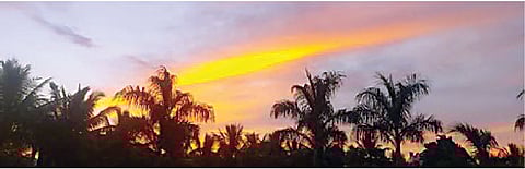 बावडा येथे बुधवारी सूर्योदयाच्या वेळी निर्माण झालेले नेत्रदीपक सौंदर्य.