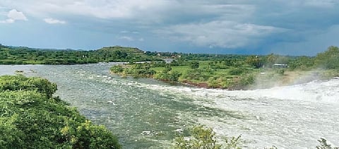 नद्या दुथडी, सरासरी पार.. जोर धारा..! नगर जिल्ह्यात आणखी तीन दिवस पावसाचेच
