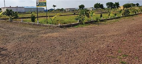 भांडगावच्या अनधिकृत प्लॉटिंगला तहसीलदार संजय पाटील यांनी दणका दिला.