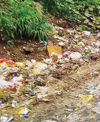 धायरी येथील रस्त्यावर पडलेले कचर्याचे ढीग.