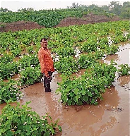 कळंब येथे ढगफुटीसदृश पाऊस झाल्याने पिकात साचलेले पाणी दाखवताना शेतकरी.