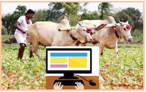 पुणे : शेतसारा ऑनलाईन भरण्याची सुविधा; पहिल्या टप्प्यात राज्यातील 356 गावांचा समावेश