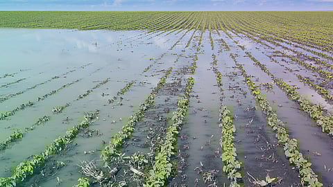 नगर : ऑक्टोबर अतिवृष्टी नुकसानीपोटी चारशे कोटीचा प्रस्ताव; आतापर्यंत सव्वा चार कोटी मिळाले