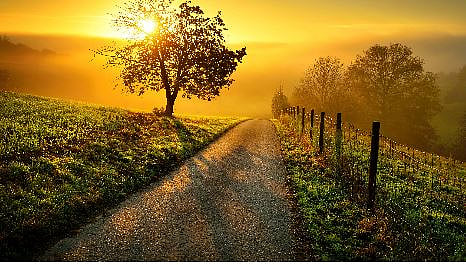 Morning Routine : सकाळी उठून ‘ही’ पाच कामे करा; दिवसभर राहाल फ्रेश