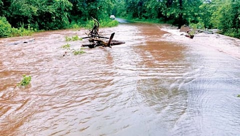 सिंधुदुर्ग : समुद्र खवळला; मच्छीमारी ठप्प