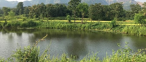 तीन पाझर तलाव गेले चोरीला?