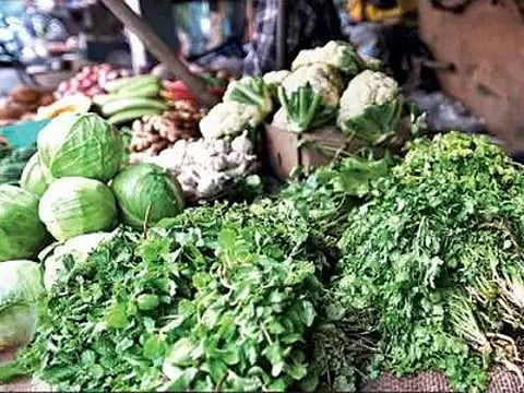 पिंपरी : कोथिंबिरीची जुडी 60 रुपयाला, पावसामुळे पालेभाज्यांचे दर गगनाला