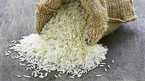 भात पीक क्षेत्रात घट, दर वाढीच्या शक्यतेने केंद्राचा मोठा निर्णय, broken rice निर्यातीवर बंदी