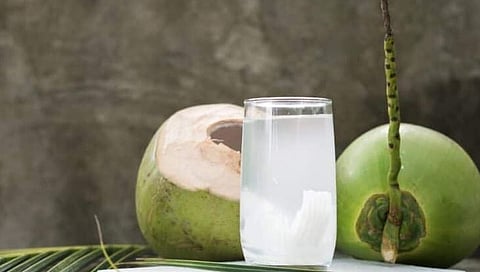 Coconut water : नारळ पाणी नेहमीच फायदेशीर ठरत नाही! जाणून घ्या काय आहेत तोटे