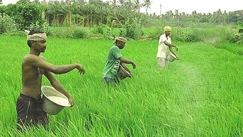 कृषी अधिकारी देणार शेतकरी दाखला