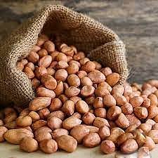 पुणे : साबूदाणा स्वस्त; शेंगदाणा दर स्थिर; नवरात्रीमुळे उपवासाचे जिन्नस खरेदीसाठी गर्दी