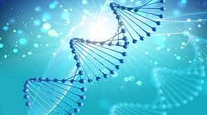 पुणे : कर्करोगावरील नवीन उपचारपद्धती दिलासादायक; टाटा मेमोरियल सेंटरचे संशोधन