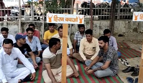 चित्त्यांच्या शिकारीसाठी चितळ आणि हरिण सोडल्याच्या निषेधार्थ बिश्नोई समाजाचे धरणे आंदोलन