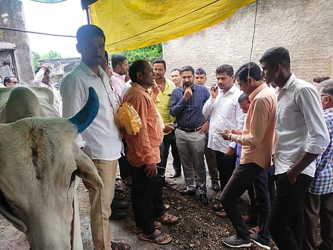 जळगाव : पहूर कसबे येथील लम्पी आजाराने बाधित गुरांची पाहणी करत पशुपालकांना लसीकरणाचे आवाहन करताना जिल्हाधिकारी अभिजित राऊत. (छाया : चेतन चौधरी).