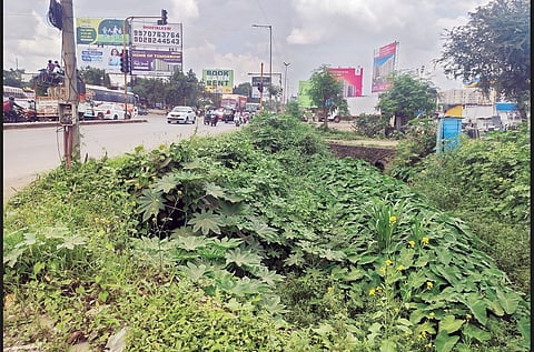 मोशीतील नालेसफाईकडे दुर्लक्ष