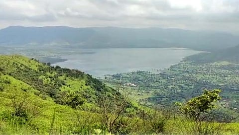 फुलो भरी पाचगणी! निसर्ग नटला, पर्यटकांच्या स्वागतासाठी सज्ज (व्हिडिओ)