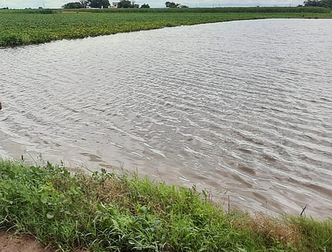 पावसाच्या पाण्यानेे पिके सडली, कोकमठाण येथील शेतकर्यांचे मोठे नुकसान