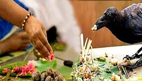 पितृ पंधरवडा