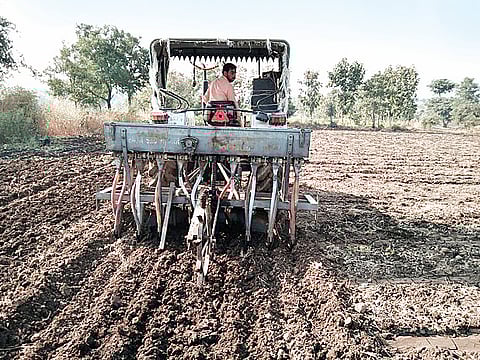 यंदा रब्बीचे क्षेत्र 25 टक्के वाढणार ! कृषी विभागाची तयारी