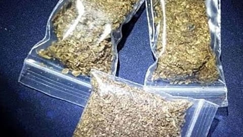 विट्यात दहा किलोच्या गांजासह साडेचार लाखांचा मुद्देमाल जप्त