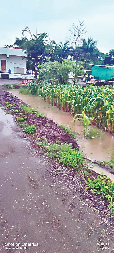 येवला : कातरणी येथे ढगफुटीसदृश पाऊस झाल्याने शेतकर्यांची उभी पिके वाहून गेली. (छाया: अविनाश पाटील)