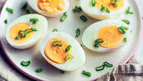 शाळांत विद्यार्थ्यांना अंडी देणे बंधनकारक, शिक्षण विभागाचे पुन्हा आदेश