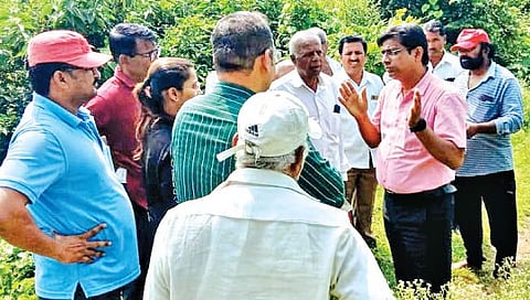 सातारा : ‘ई-पीक पाहणी’त सातारा तालुका अव्वल