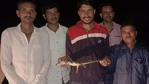 कोल्हापूर