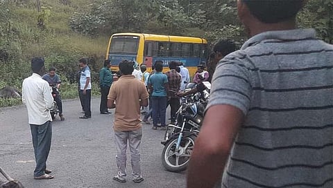 नांदेड: स्कूल बसच्या धडकेत २ म्हशी ठार; २ गंभीर जखमी