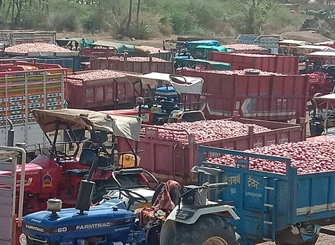 पिंपळनेर कांदा www.pudhari.news