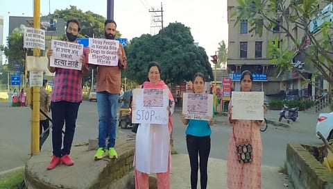 Dog killing : श्वान हत्यांविरोधात नाशिकमध्ये प्राणिप्रेमी एकवटले, केरळ शासनाचा निषेध