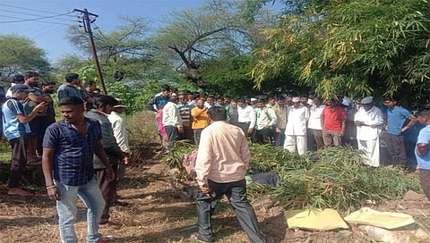 विंचुरी दळवी : येथे अज्ञाताने केलेल्या जनावरांची कत्तल केल्याने जमा झालेली बघ्यांची गर्दी. (छाया: संजय निकम)