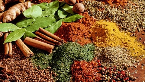 नाशिक : चमचमीत जेवणाला महागाईचा ठसका, दर वाढल्याने बजेट कोलमडले