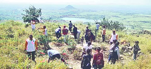 पंचवटी : शिवकार्य गडकोट संवर्धन संस्थेच्या वतीने रामशेजवरील रोपांना आळे करताना स्वयंसेवक.(छाया : गणेश बोडके)