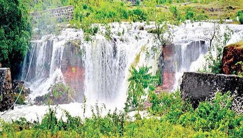 सांगली : तासगाव तालुक्यात सरासरीच्या 108 टक्के पाऊस