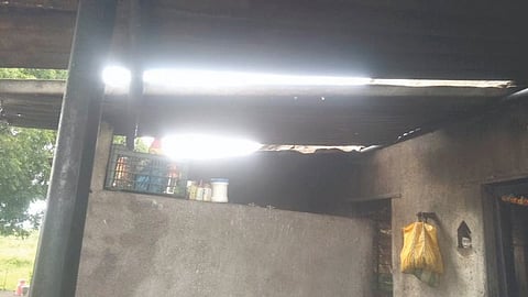 औंढेवाडी : वीज अंगावर कोसळून मृत्युमुखी पडलेल्या शेळ्या.