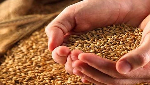 सातारा : पाऊण लाखापैकी 825 जण बाहेर … स्वस्त धान्य योजनेचा सधन कुटुंबांना लाभ