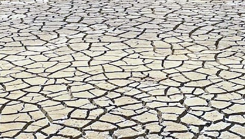 जलवायू परिवर्तनामुळे दुष्काळाची शक्यता वाढली