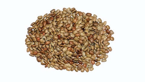 तंत्र हुलगा लागवडीचे