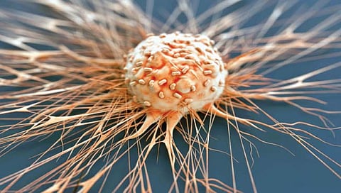 कॅन्सरवरील प्रभावी औषधाचा लावला शोध