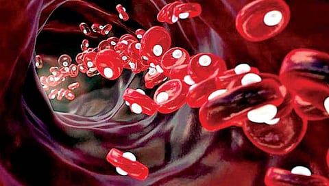 ब्रिटिश शास्त्रज्ञांनी शोधला नवा रक्तगट