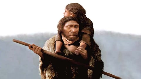 50 हजार वर्षांपूर्वीच्या निएंडरथल कुटुंबाचा जीनोम